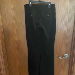 Express Design Studio Slacks